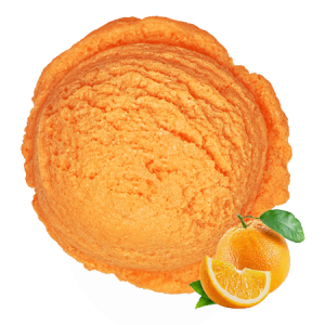 Nagpur Orange