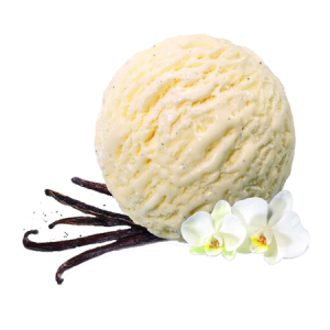 Sugarfree  Vanilla